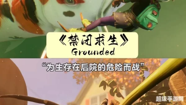 夫妻游戏