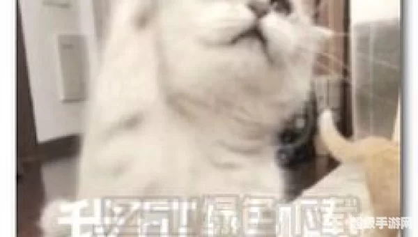 我有一点点想你表情包