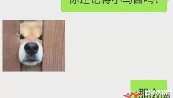 小鸟酱